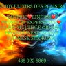 MTL❤️DISCREET★WEST ISLAND★REAL EXPERIENCE★PROSTATE*FIST*LINGAM*FACE S*GOLDEN*FETISHE